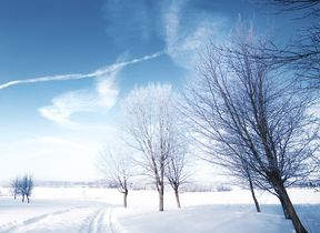 clear-skies-and-snow-covered-fields