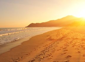 footstep-along-a-sunny-beach