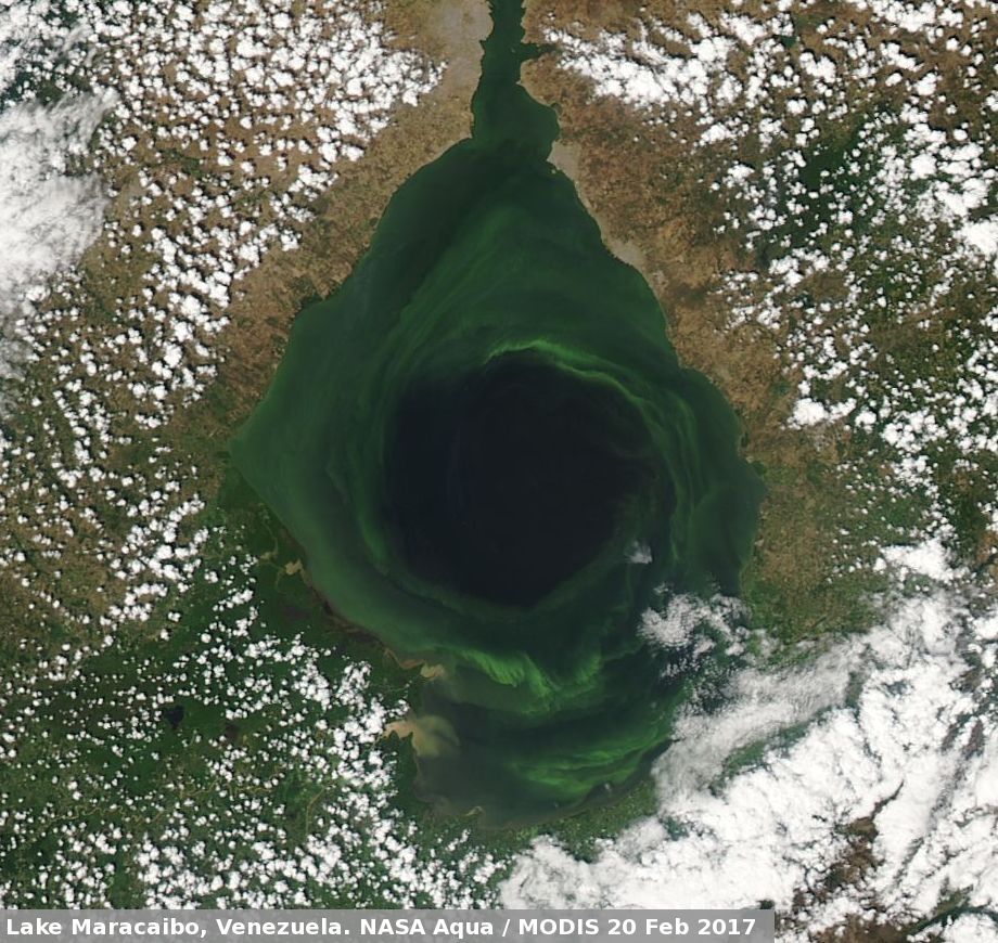 maracaibo_aqua_20170220