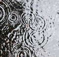 rain-falling-into-a-puddle-causing-ripples