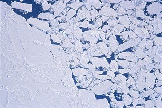 sea-ice-floes