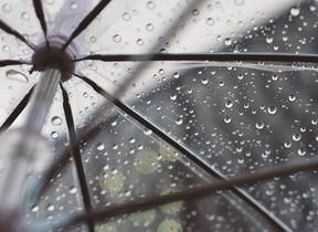 umbrella-with-raindrops-photo-freddie-marriage