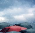 umbrellas-in-rain