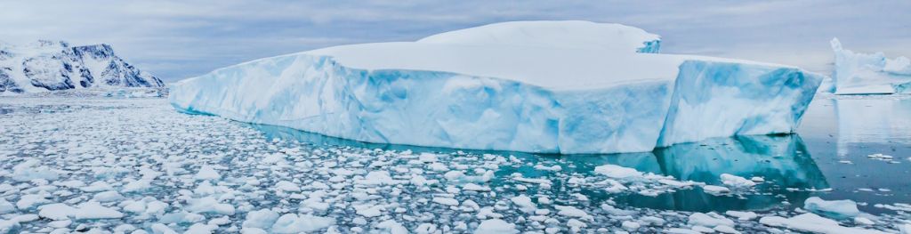 A seabird flies over an expanse of ice bergs and Antarctic sea ice