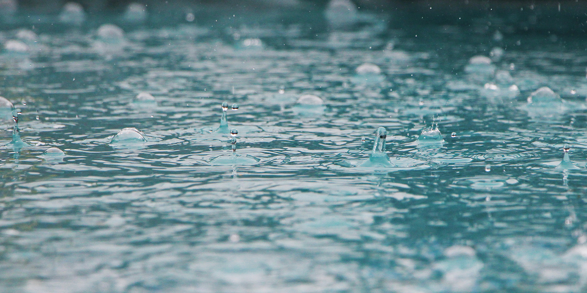 Rain drops falling into a puddle.