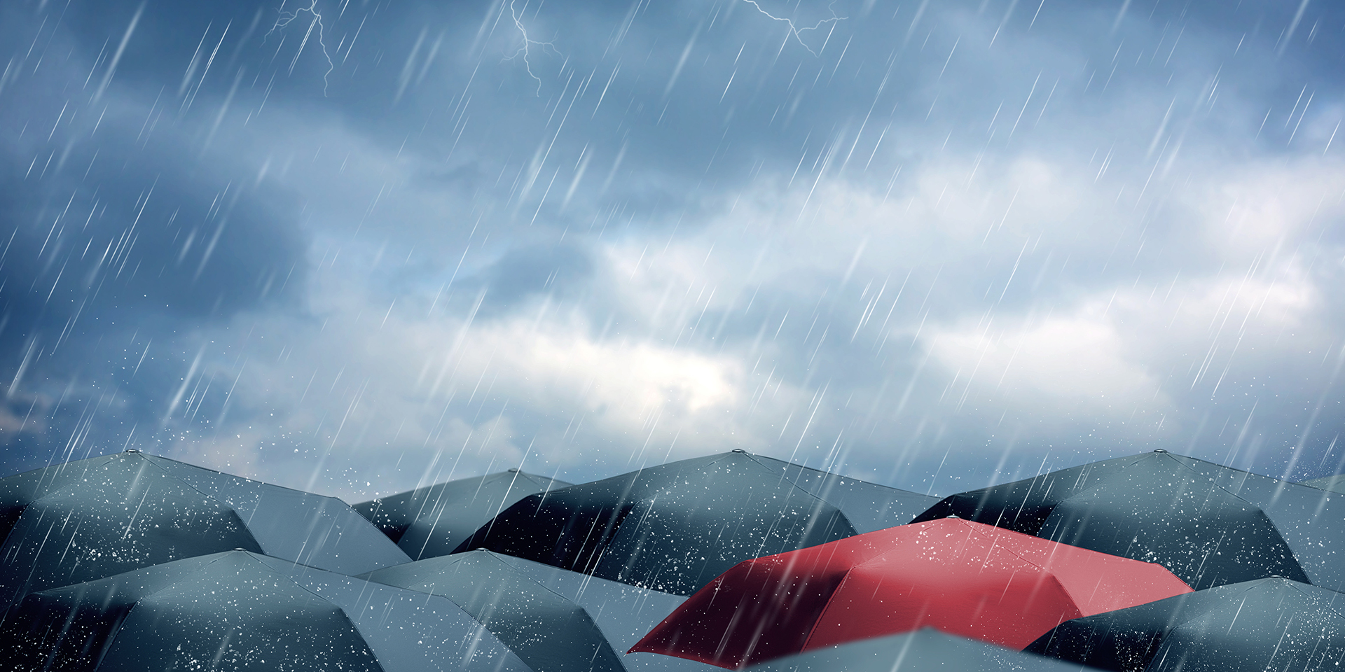 Umbrellas in the rain