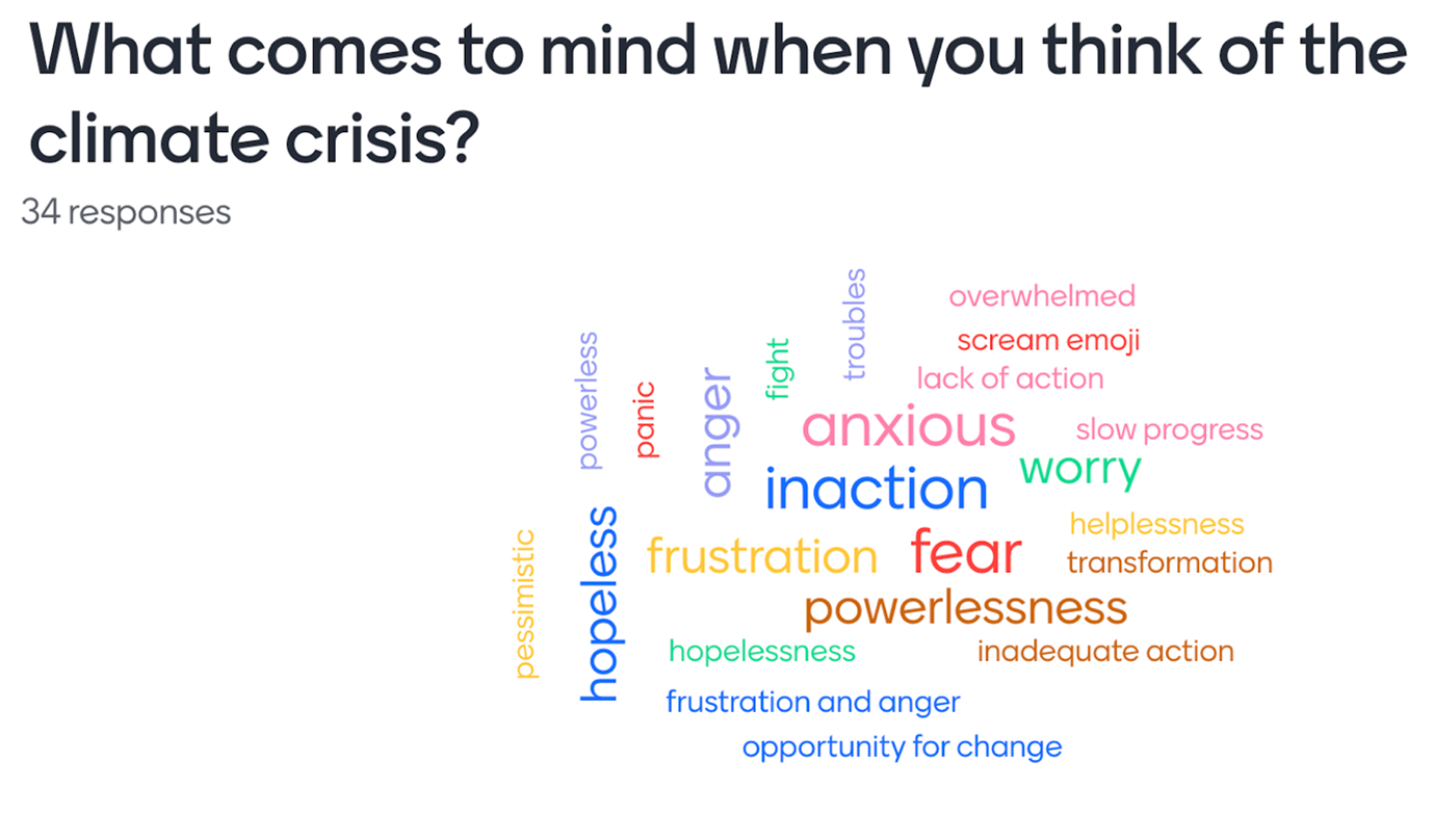 Wordcloud displaying people's thoughts when what comes to mind when you think of the climate crisis.