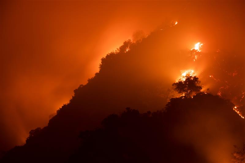 An image of wildfires