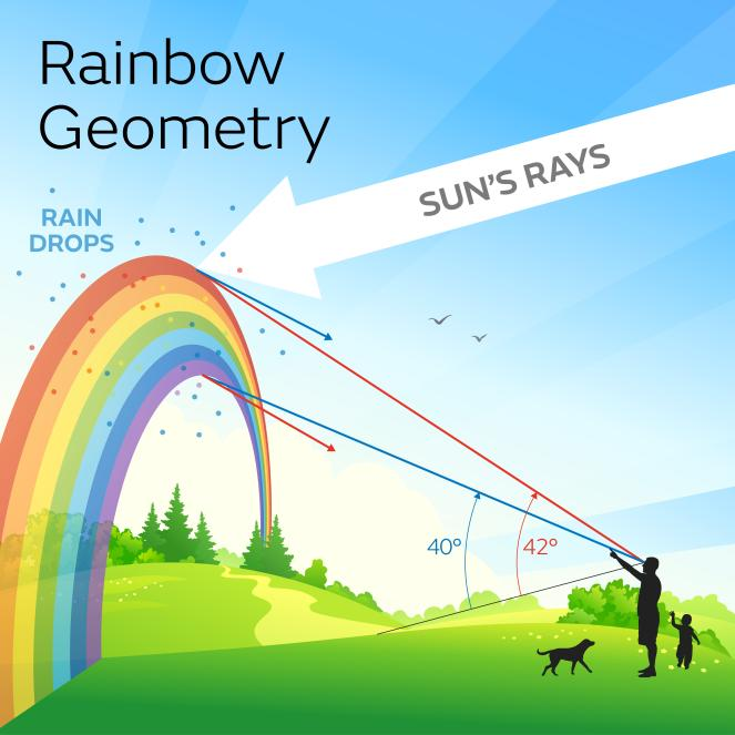 Illustration showing the geometry of rainbows. The sun's rays hit droplets, refracting and reflecting back at the observer, who sees the colours of the rainbow if the conditions are right. Red light (the top of a rainbow) is seen from drops slightly higher in the atmosphere, while violet light (the bottom of the rainbow) is seen in droplets lower in the atmosphere.