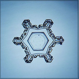 Sector plate snowflake, similar to the thin plate but with a more hexagonal, star-like shape
