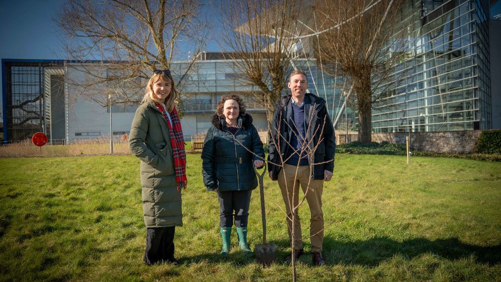 Tree planting Wildlife Trust
